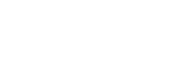 Logo Zukunftsflieger